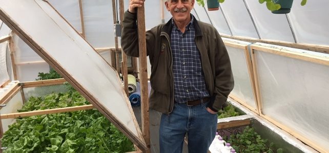 Greenhouse Growing for the Home Gardner