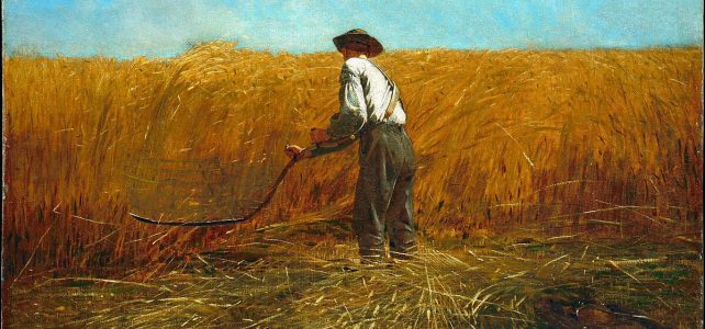 Art of the Harvest: Autumn Art of the Harvest: Autumn